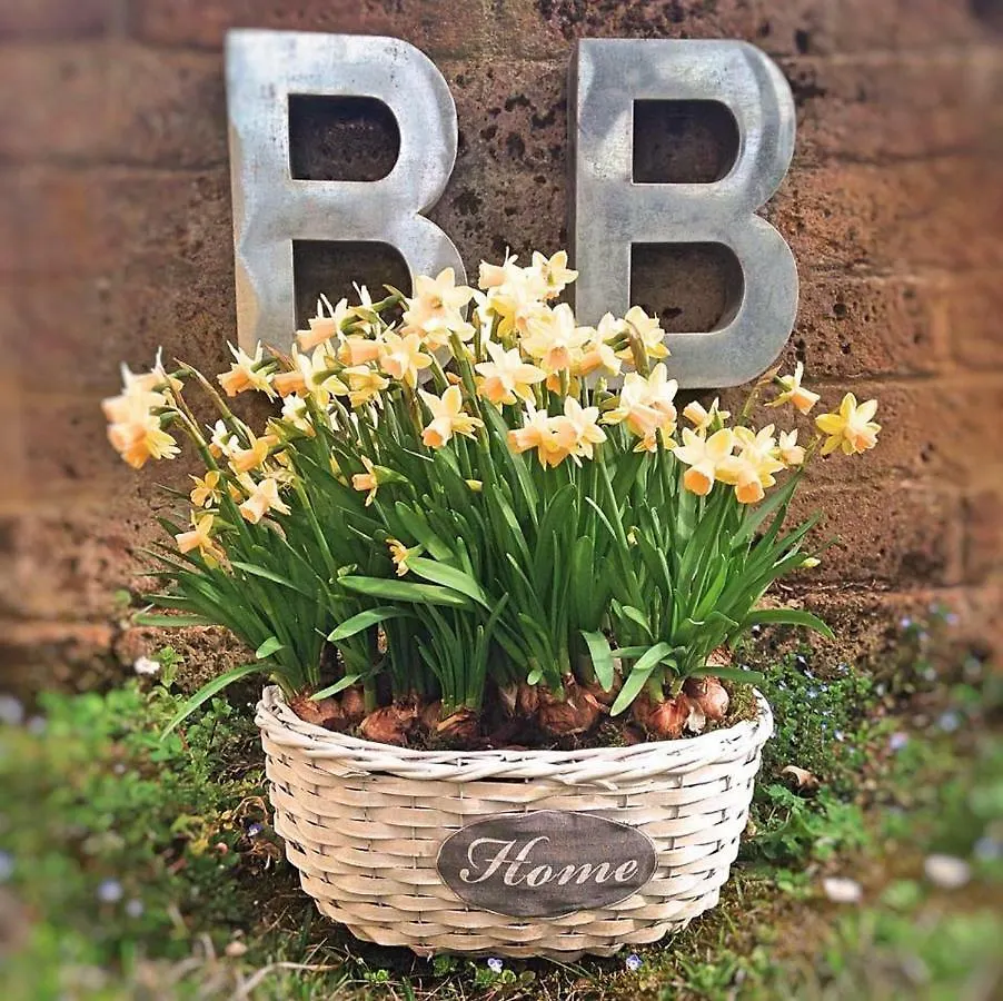 Bed & Breakfast B&B Nascondino Goito  Italy